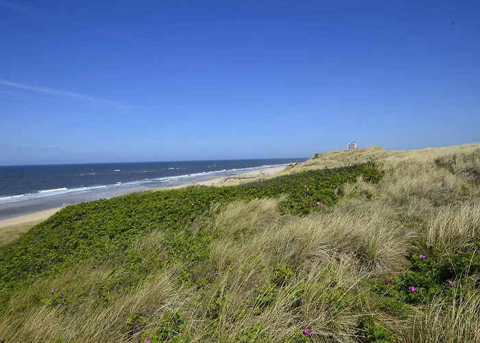 Alice, App 36-3 * Westerland